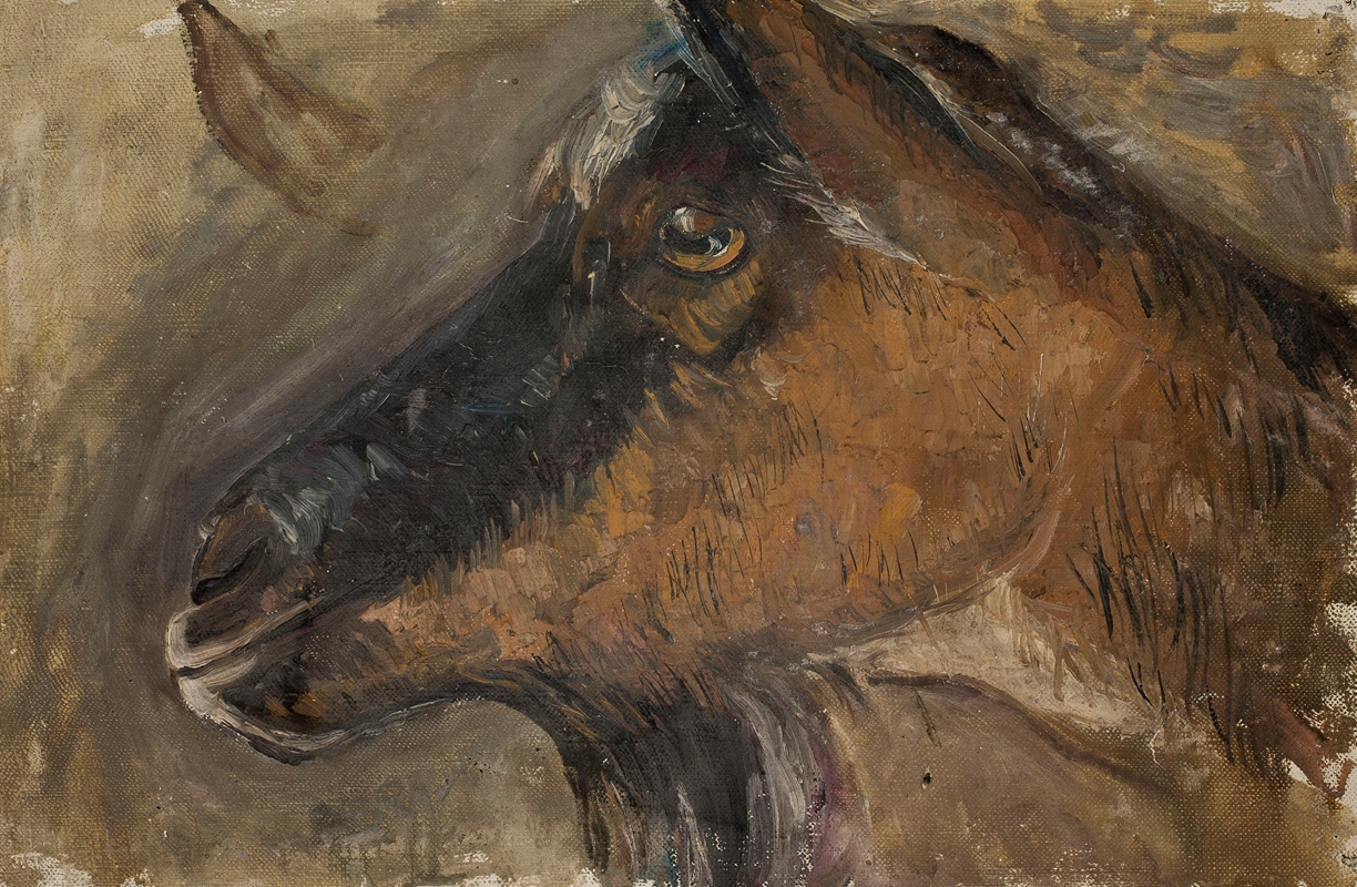 Study of a goat’s head by Тадеуш Маковский, 1918 — digital art print download