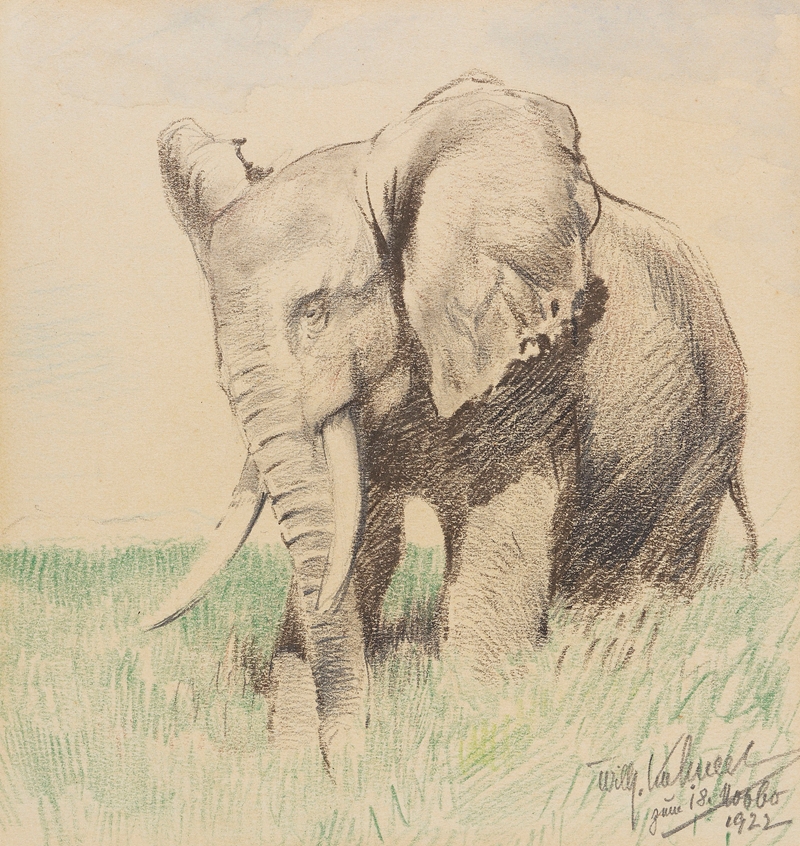 Afrikanischer Elefant in der Steppe by Вильгельм Кунерт, 1922 — digital art print download