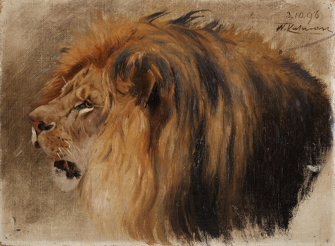 Kopf eines Löwen by Вильгельм Кунерт, 1896 — digital art print download
