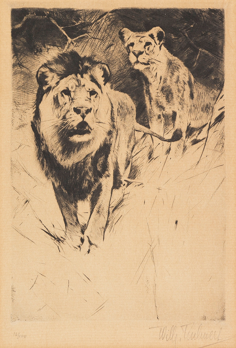 Lion and Lioness by Вильгельм Кунерт, 1915-1921 — digital art print download