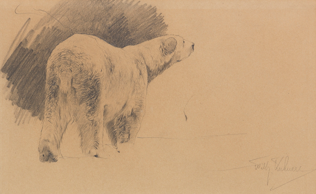 Stehender Eisbär by Вильгельм Кунерт — digital art print download