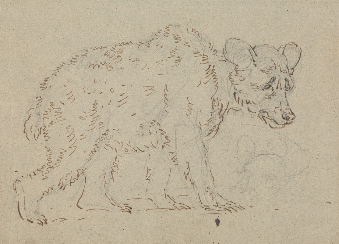 Study of a bear by Sawrey Gilpin — digital art print download