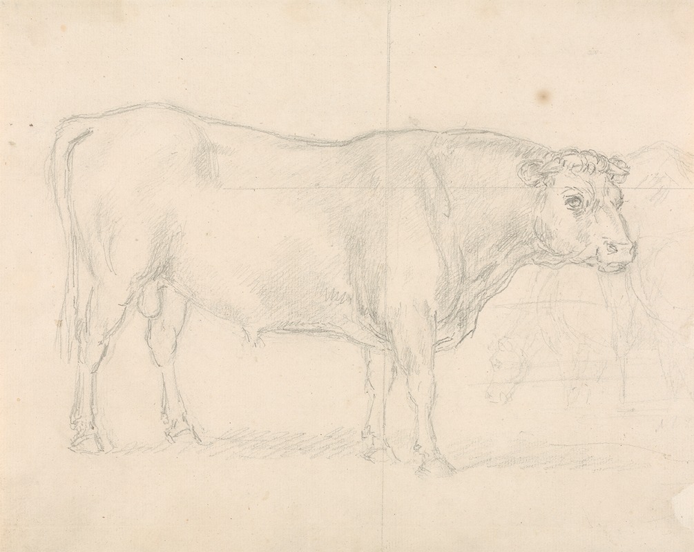 Study of a Bull by Сорей Гилпин — digital art print download