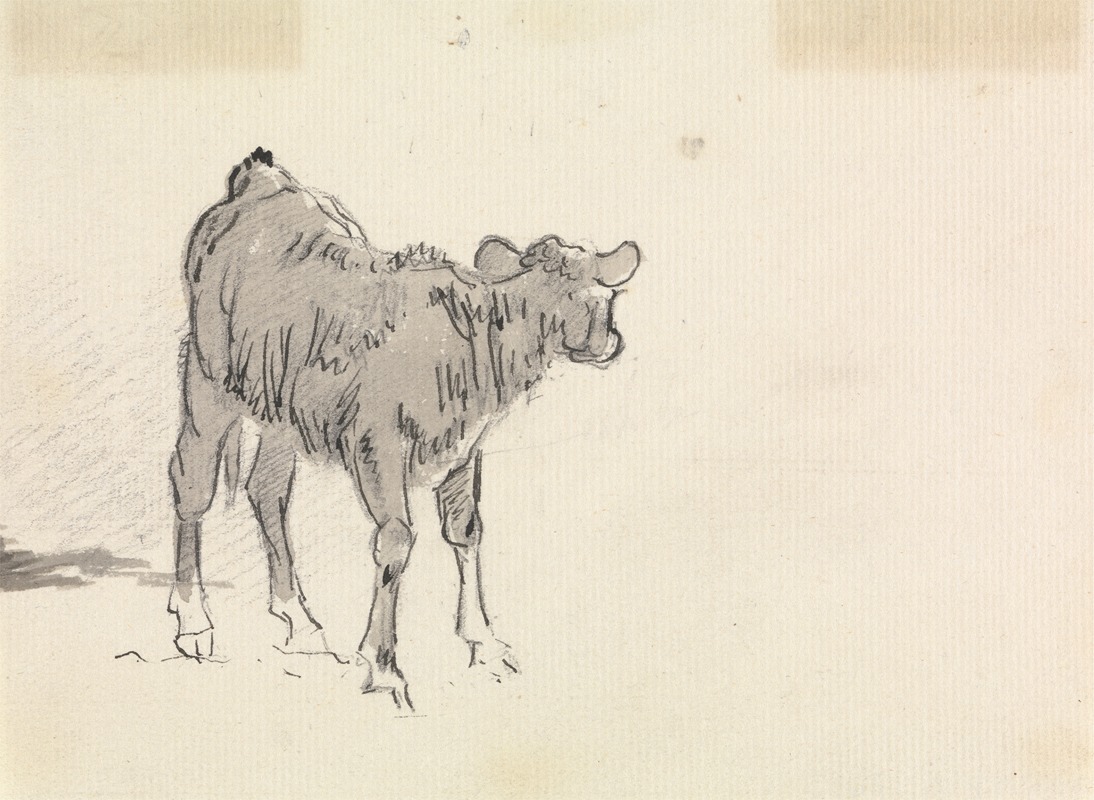 Study of a Calf. by Сорей Гилпин — digital art print download