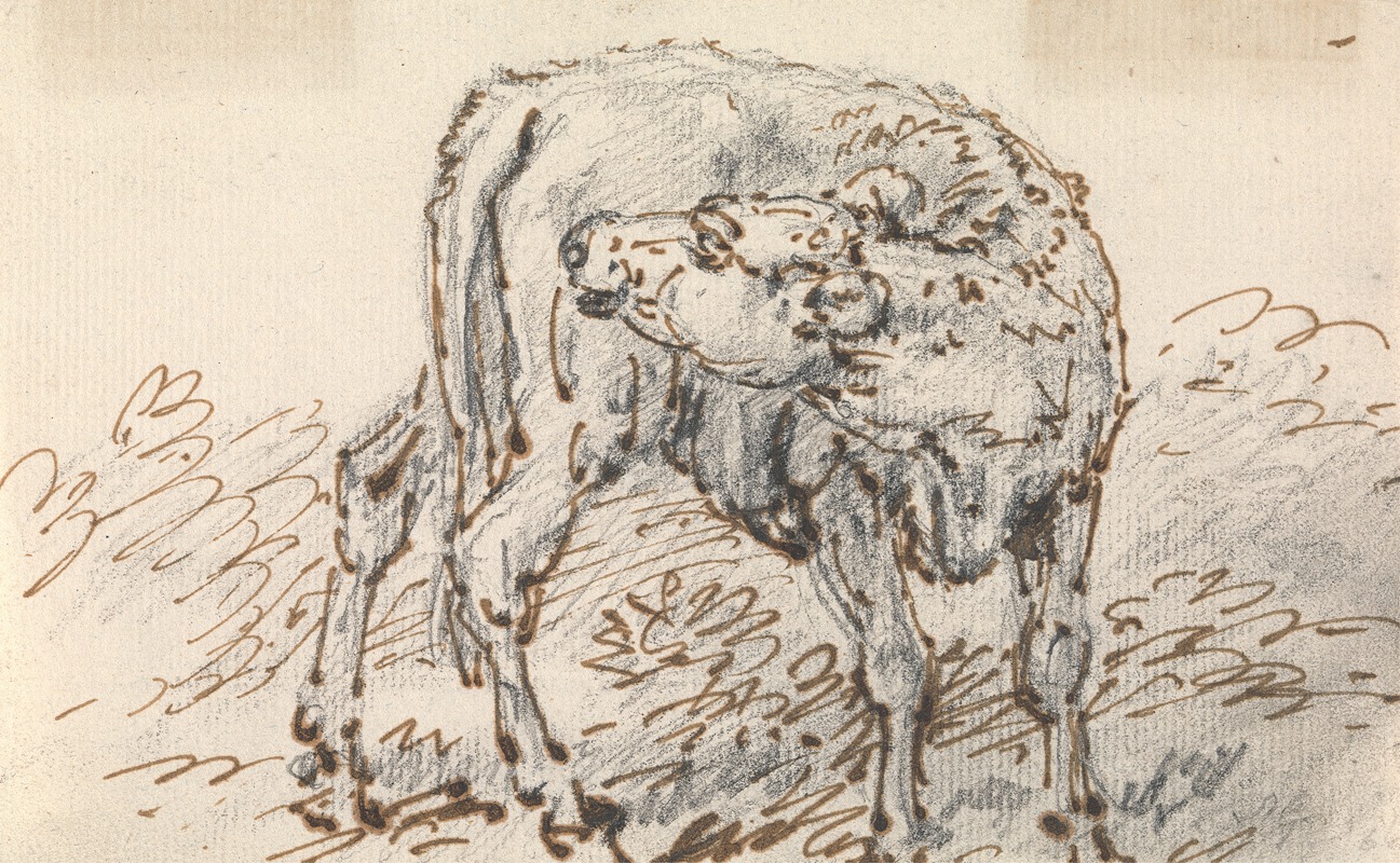 Study of a Calf by Сорей Гилпин — digital art print download