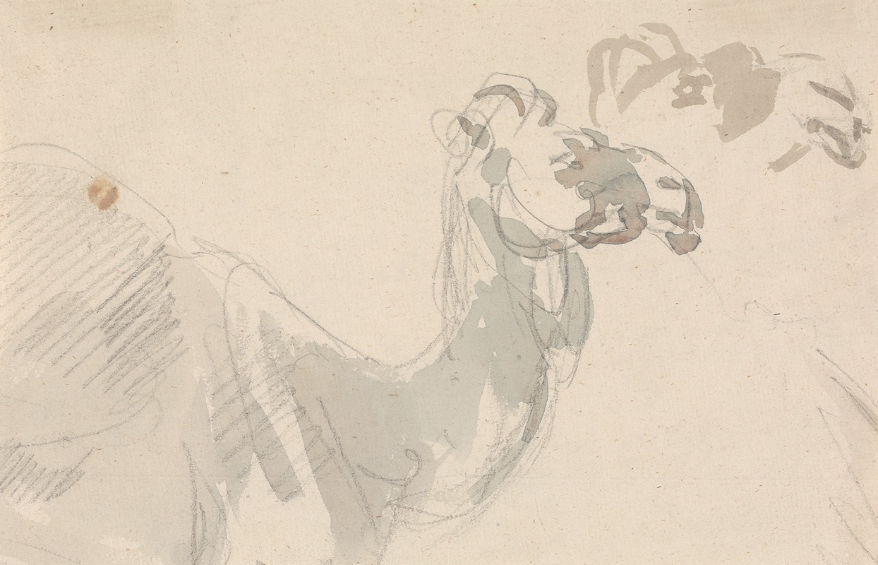 Study of a Camel by Сорей Гилпин — digital art print download
