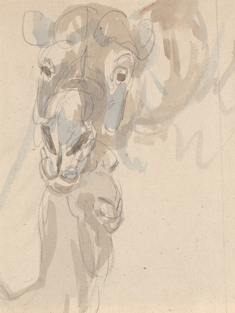 Study of a camel's head by Сорей Гилпин — digital art print download