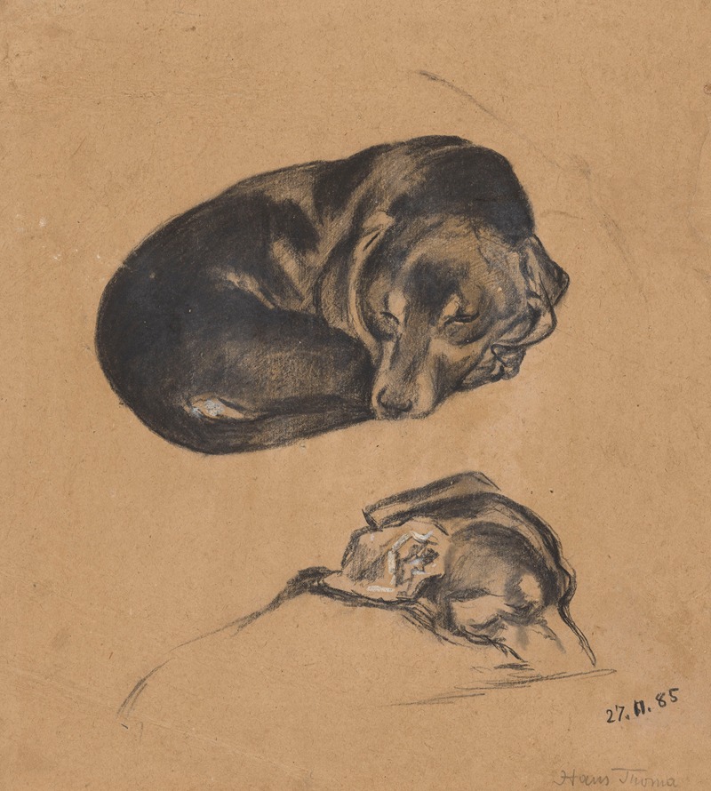 Two Studies of a Sleeping Dachshund by Ханс Тома, 1885 — digital art print download