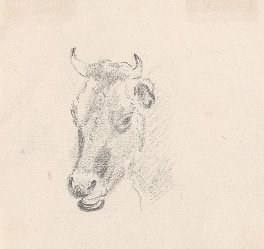 Study of a Cow's Head by Сорей Гилпин — digital art print download