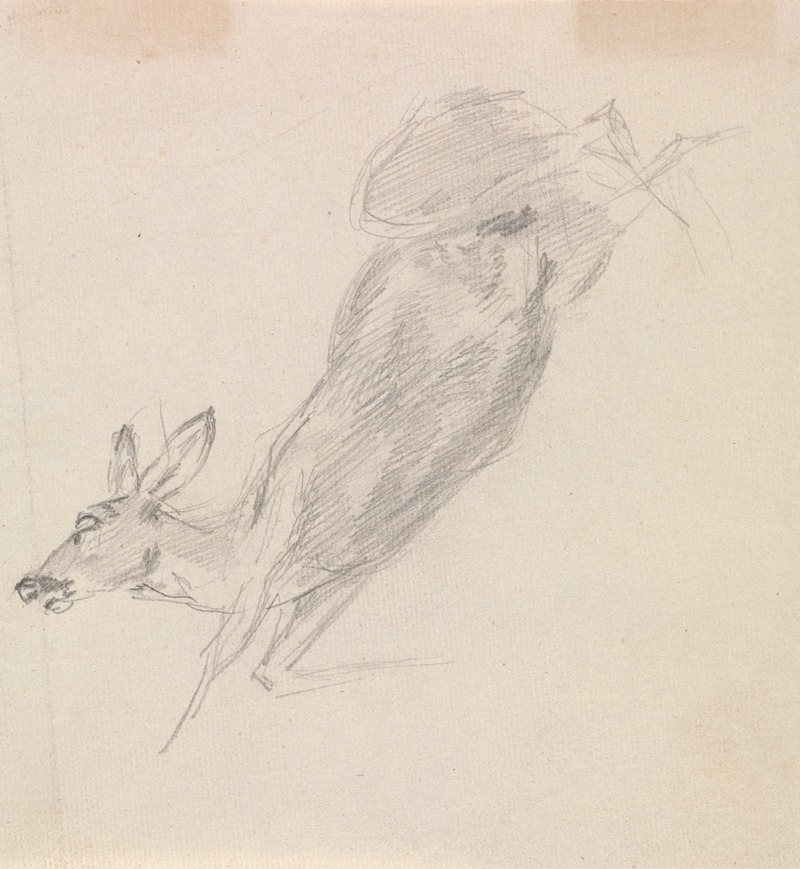 Study of a dead deer by Сорей Гилпин — digital art print download