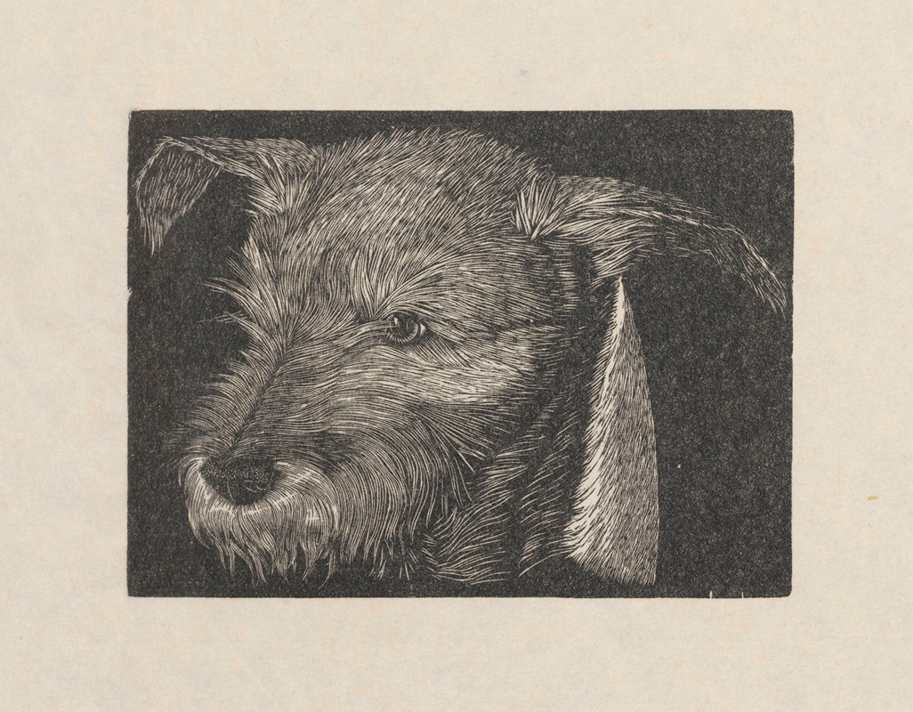 Head of 'Beauty' the dog — Wiktoria Goryńska