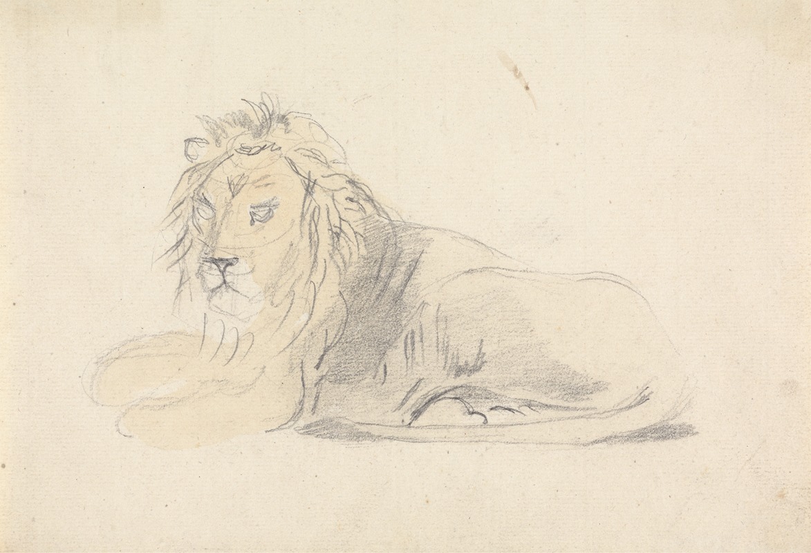 Study of a Lion by Сорей Гилпин — digital art print download