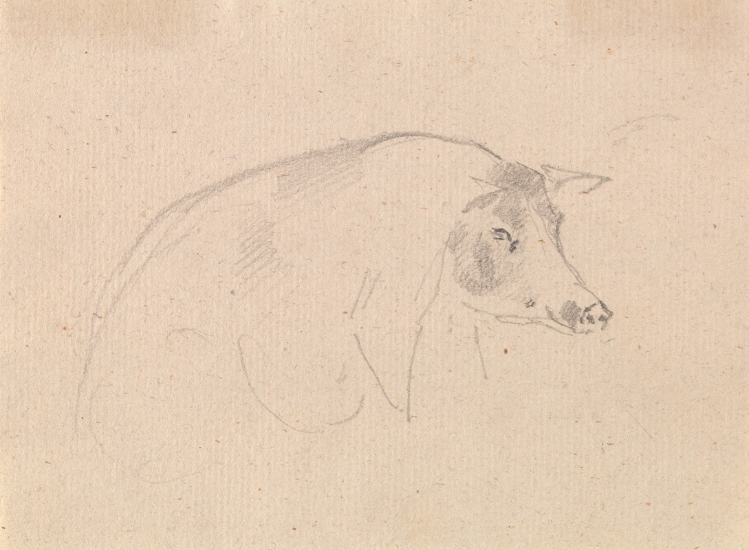 Study of a pig by Сорей Гилпин — digital art print download