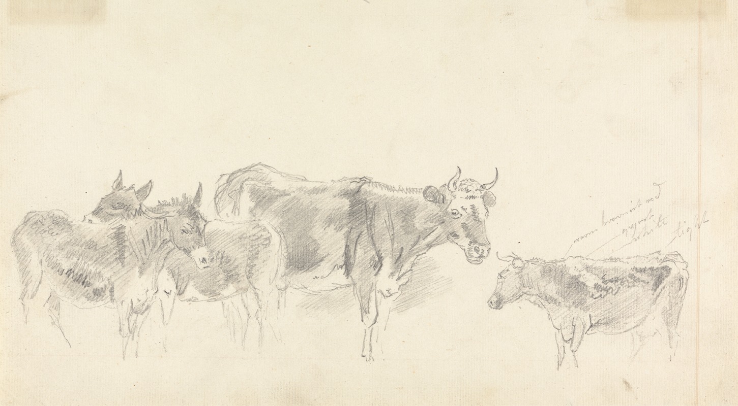 Study of Cattle and Donkeys by Сорей Гилпин — digital art print download