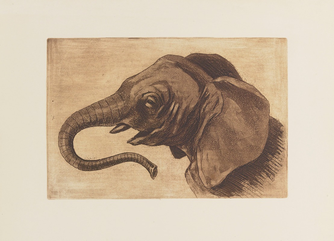Tête d'éléphant by Henri-Charles Guérard, 1893 — digital art print download