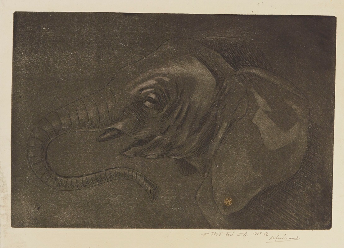 Tête d'éléphant by Henri-Charles Guérard, 1893 — digital art print download