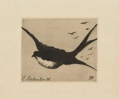 Hirondelle by Поль Гаше, 1886 — digital art print download
