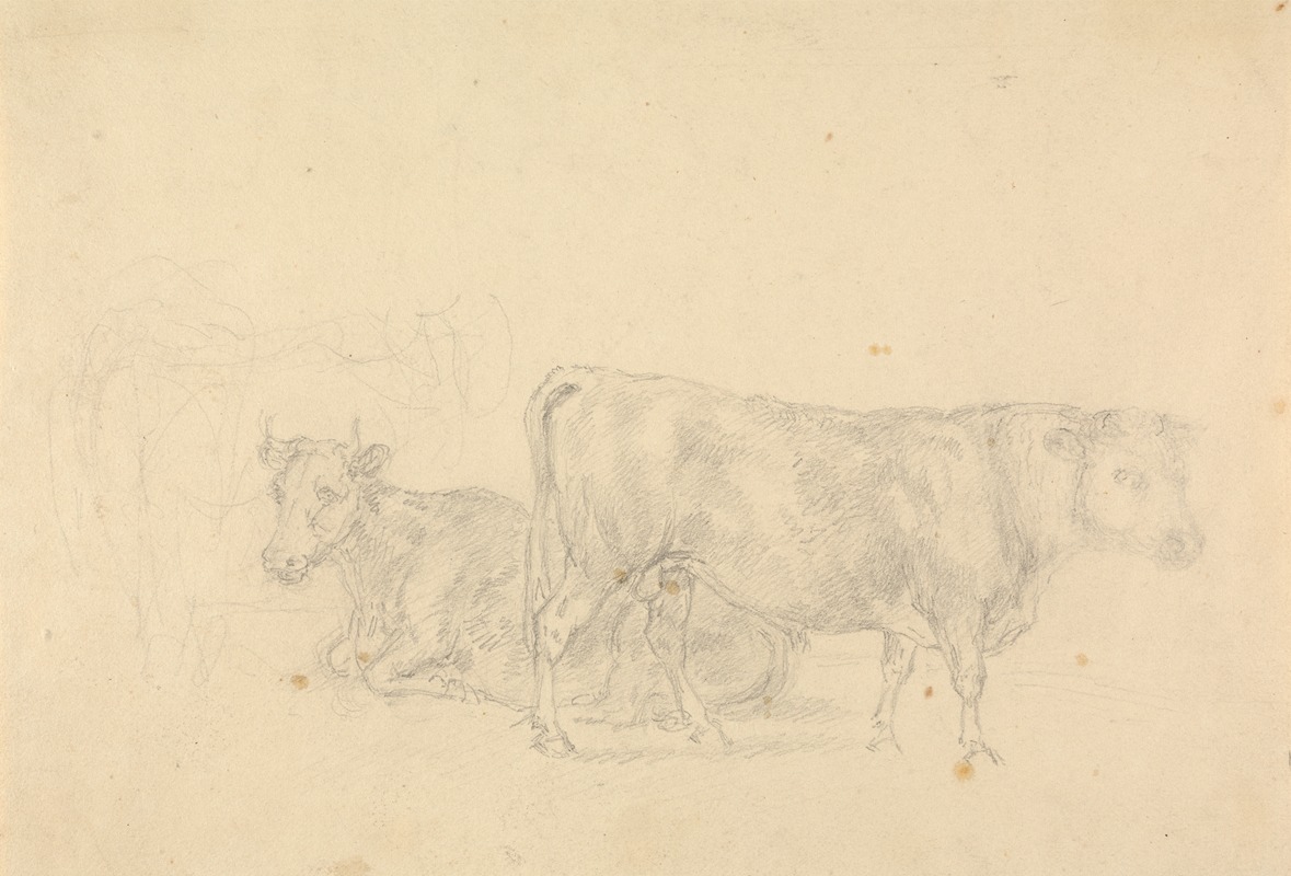 Study of cattle, bull in foreground facing right — Сорей Гилпин