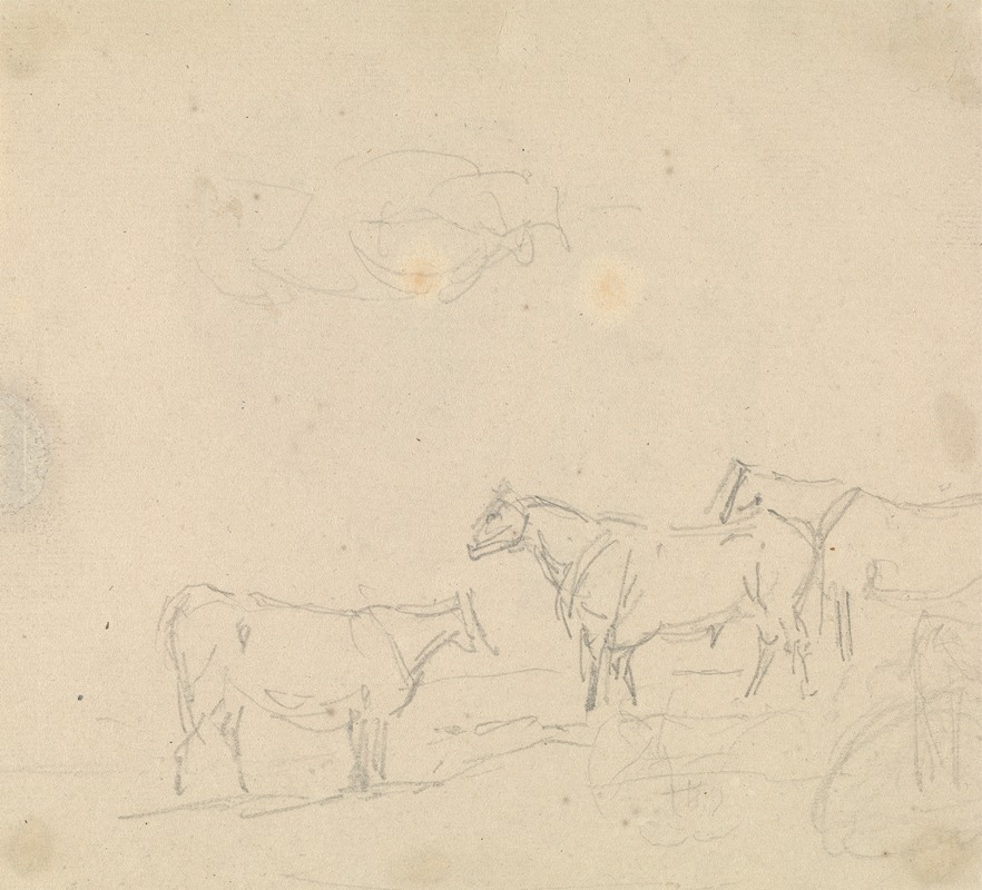 Study of Cattle by Сорей Гилпин — digital art print download