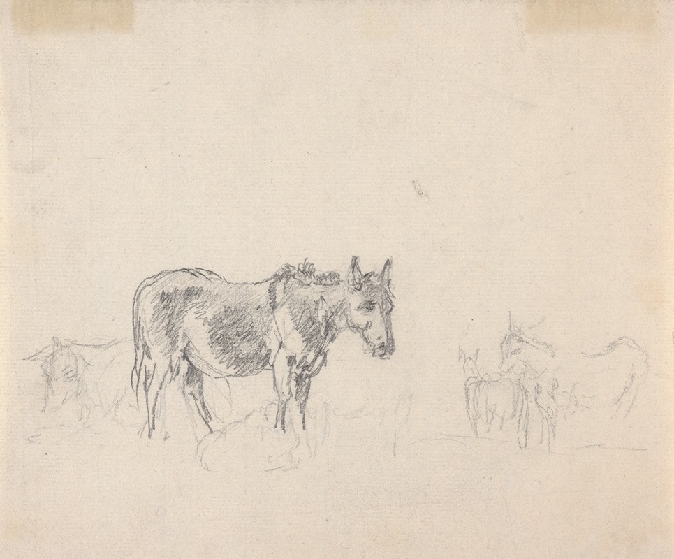 Study of donkeys by Сорей Гилпин — digital art print download