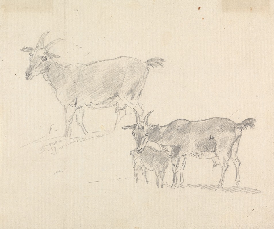 Study of Goats by Сорей Гилпин — digital art print download