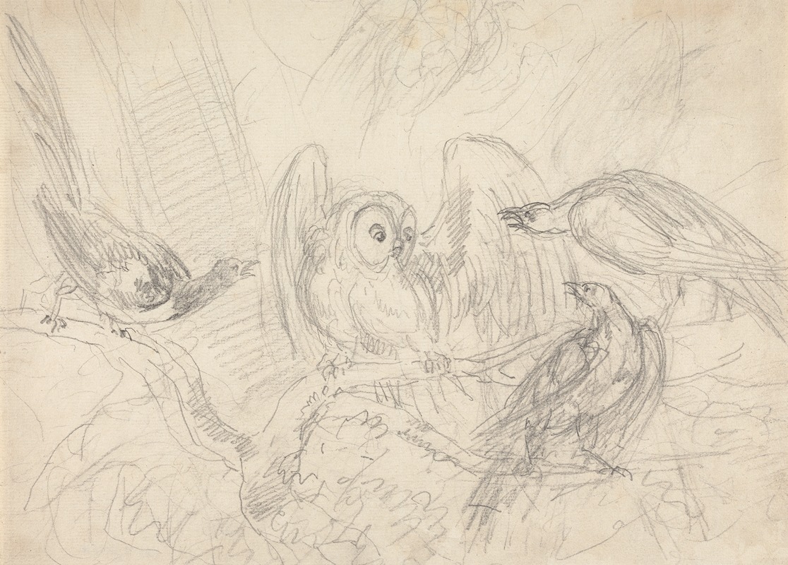 Three Pheasants Surrounding an Owl by Сорей Гилпин — digital art print download