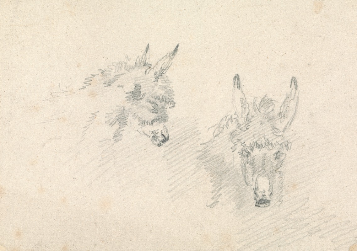 Two Heads of Donkeys — Сорей Гилпин