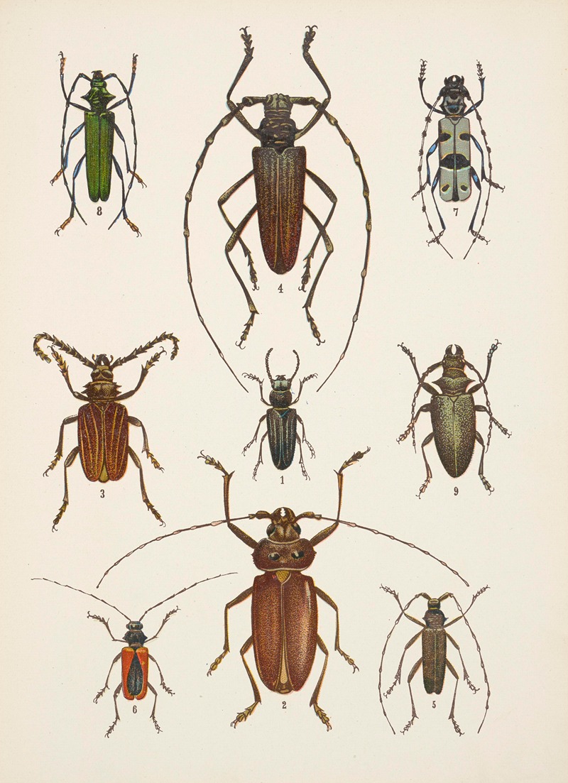 Chrząszcze (Beetles) Pl.15 by Kazimierz Kulwieć, 1926 — digital art print download