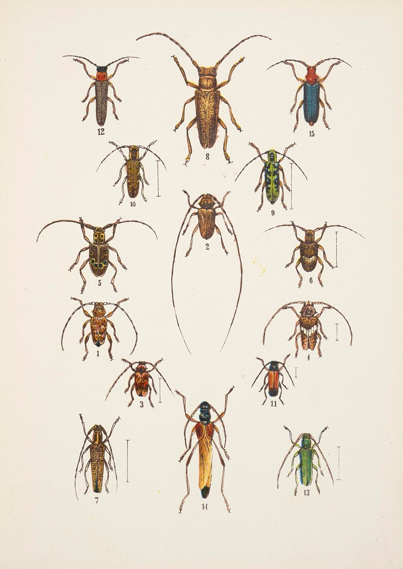 Chrząszcze (Beetles) Pl.17 by Kazimierz Kulwieć, 1926 — digital art print download