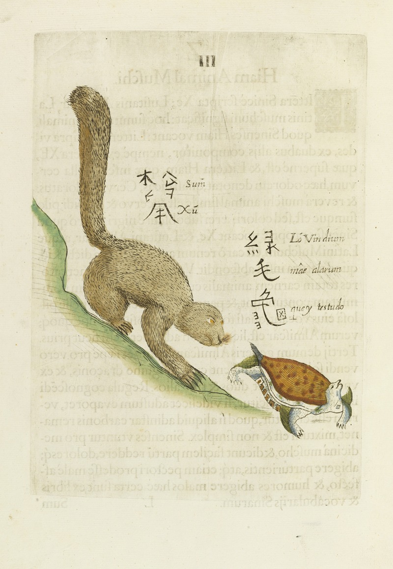 Sum Xu; Lo Meo Quey by Michał Boym, 1656 — digital art print download