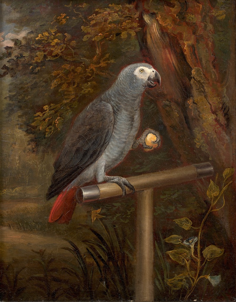 Perroquet gris du Gabon sur un perchoir — Anonymous