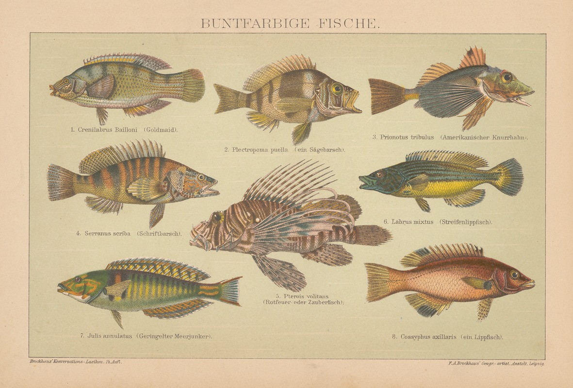 Buntfarbige fische by Ф.А. Брокгауз, 1897 — digital art print download