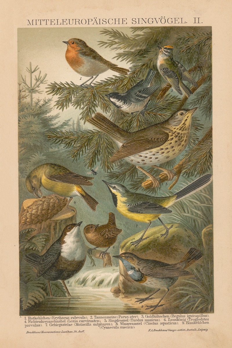 Mitteleuropäische Singvögel, II by Ф.А. Брокгауз, 1897 — digital art print download