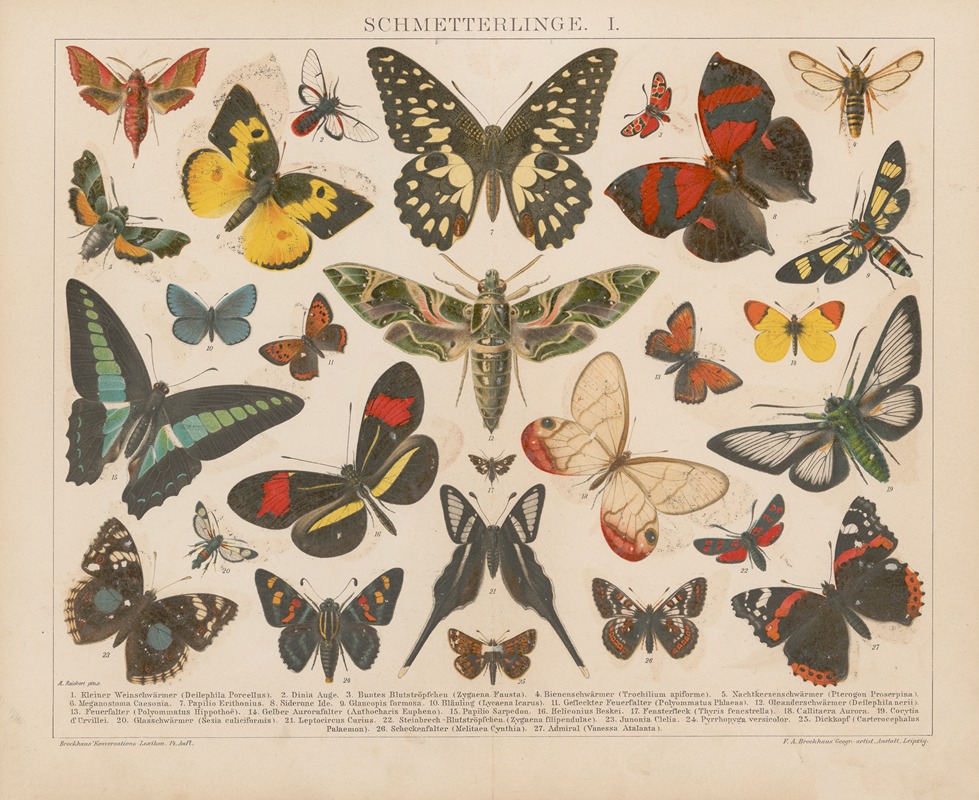 Schmetterlinge by Ф.А. Брокгауз, 1897 — digital art print download
