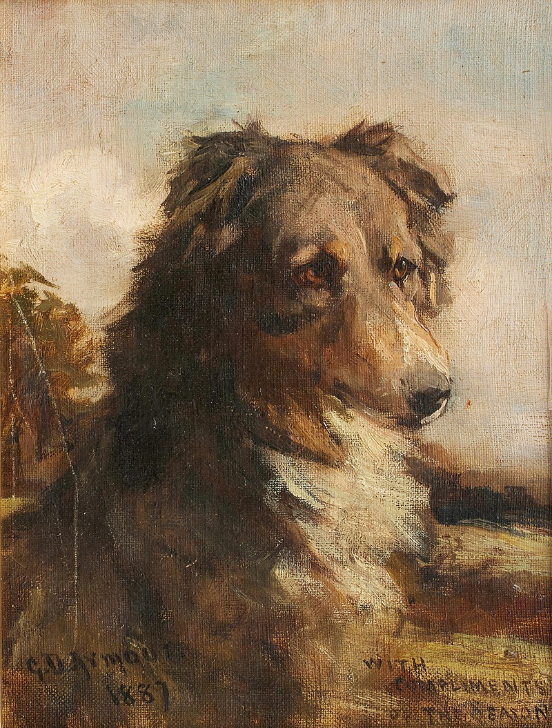 Head study of a Collie by George Denholm Armour, 1887 — digital art print download