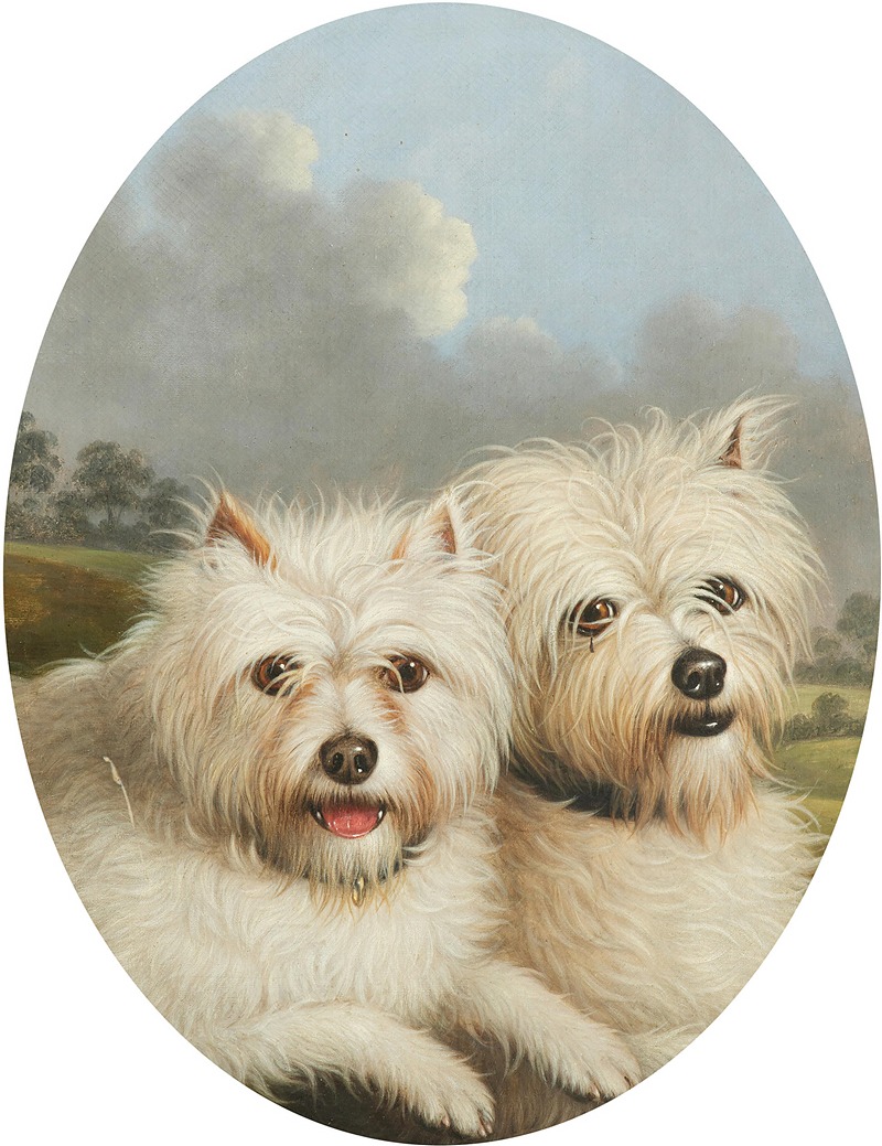 West Highland Terriers by George Stevens — digital art print download