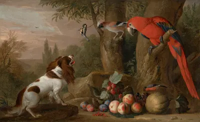 A spaniel with a macaw, blue tit, bluejay and a bullfinch with fruit in a landscape by Jakob Bogdani — digital art print…