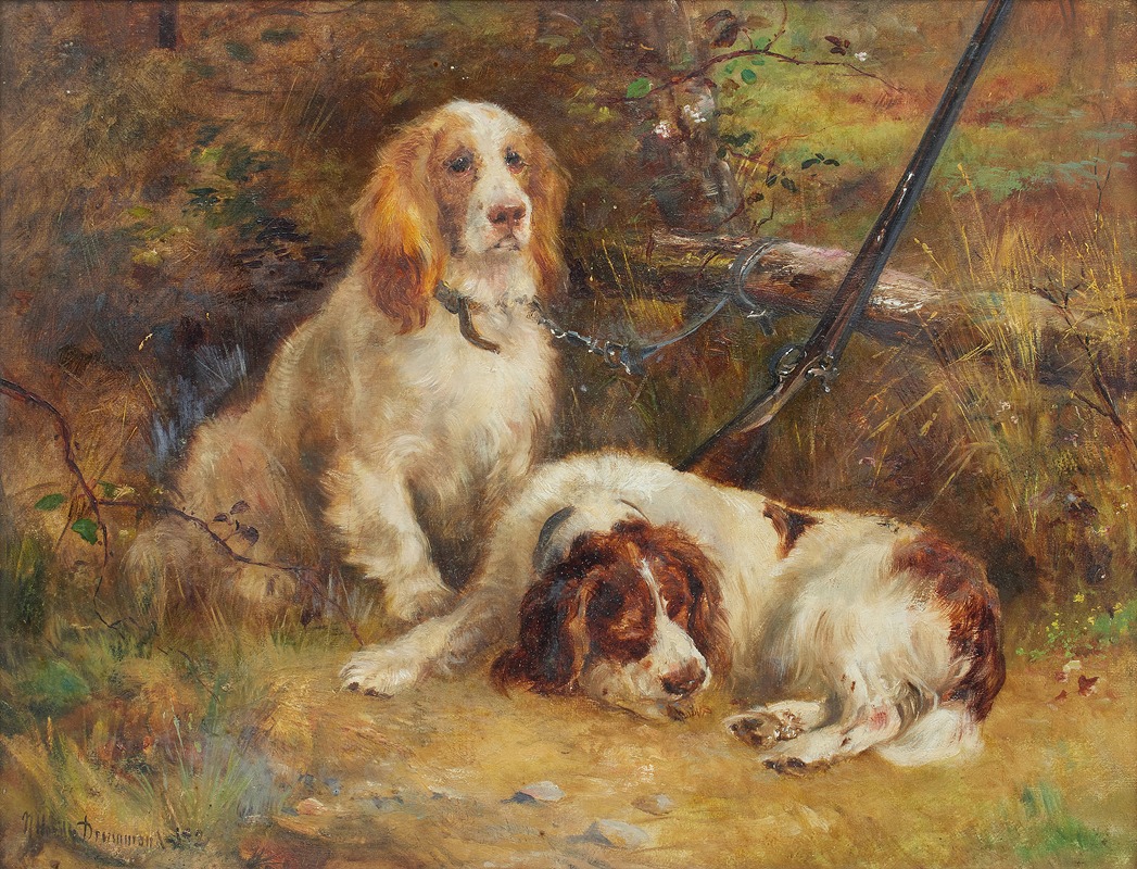 Spaniels at rest on the day's shoot — Nora Drummond