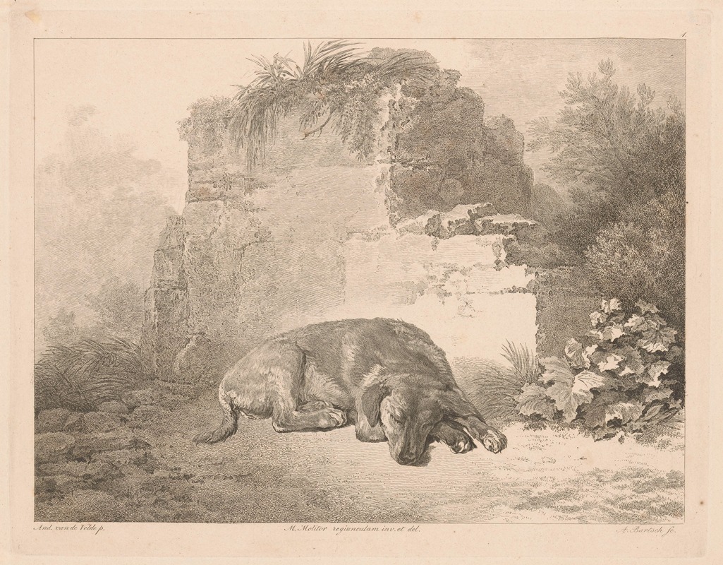 Sleeping dog in front of a wall — Adam von Bartsch