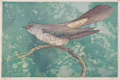 Cuckoo by Аллен У. Сиби — digital art print download