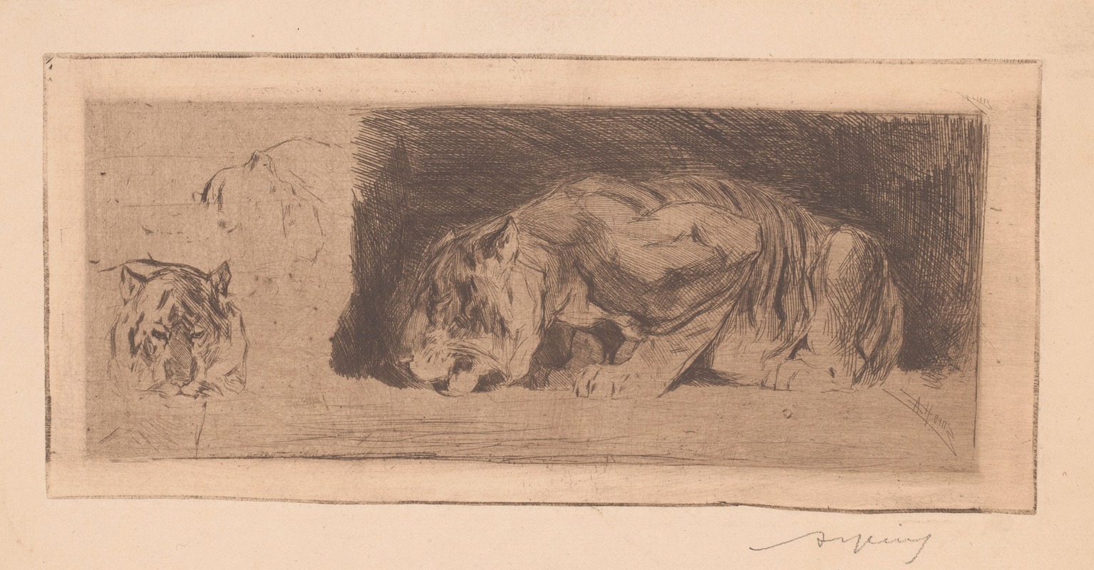 Studieblad met tijgers by Арман Хайнс, 1866-1910 — digital art print download