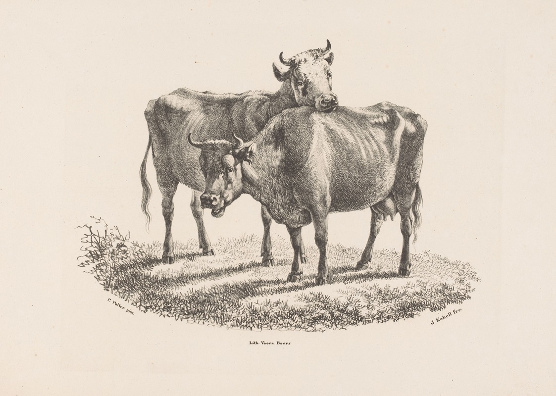 Twee koeien by Jan Kobell III, 1832 — digital art print download