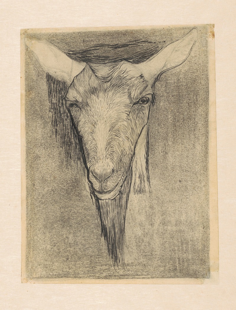 Kop van een geit by Ян Манкес, 1899-1920 — digital art print download