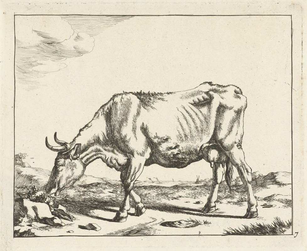 Grazing Cow by Marcus de Bye, 1657 - 1677 — digital art print download