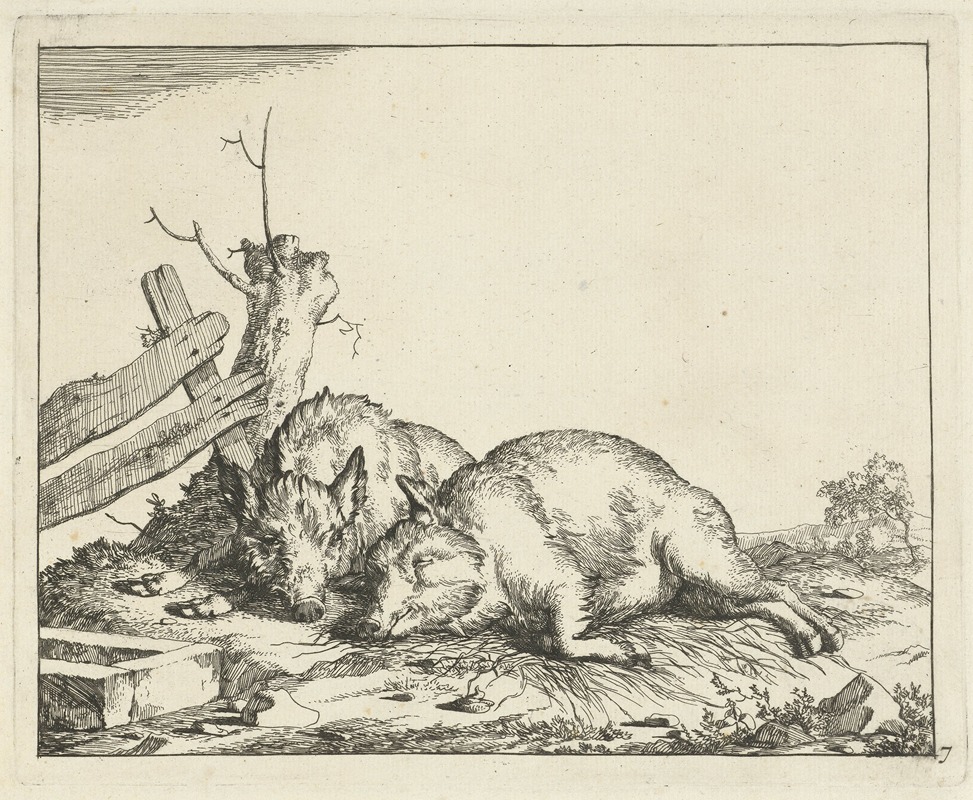 Two pigs lying by a fence by Marcus de Bye, 1657 - 1677 — digital art print download