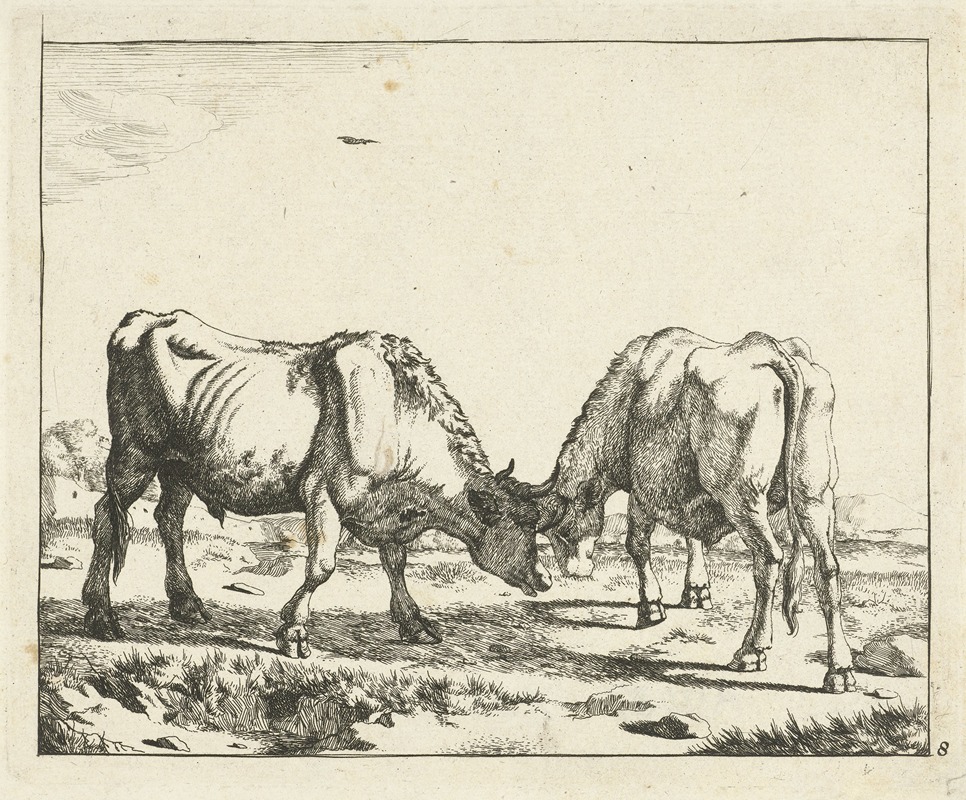 Two bulls, heads together by Marcus de Bye, 1657 - 1677 — digital art print download