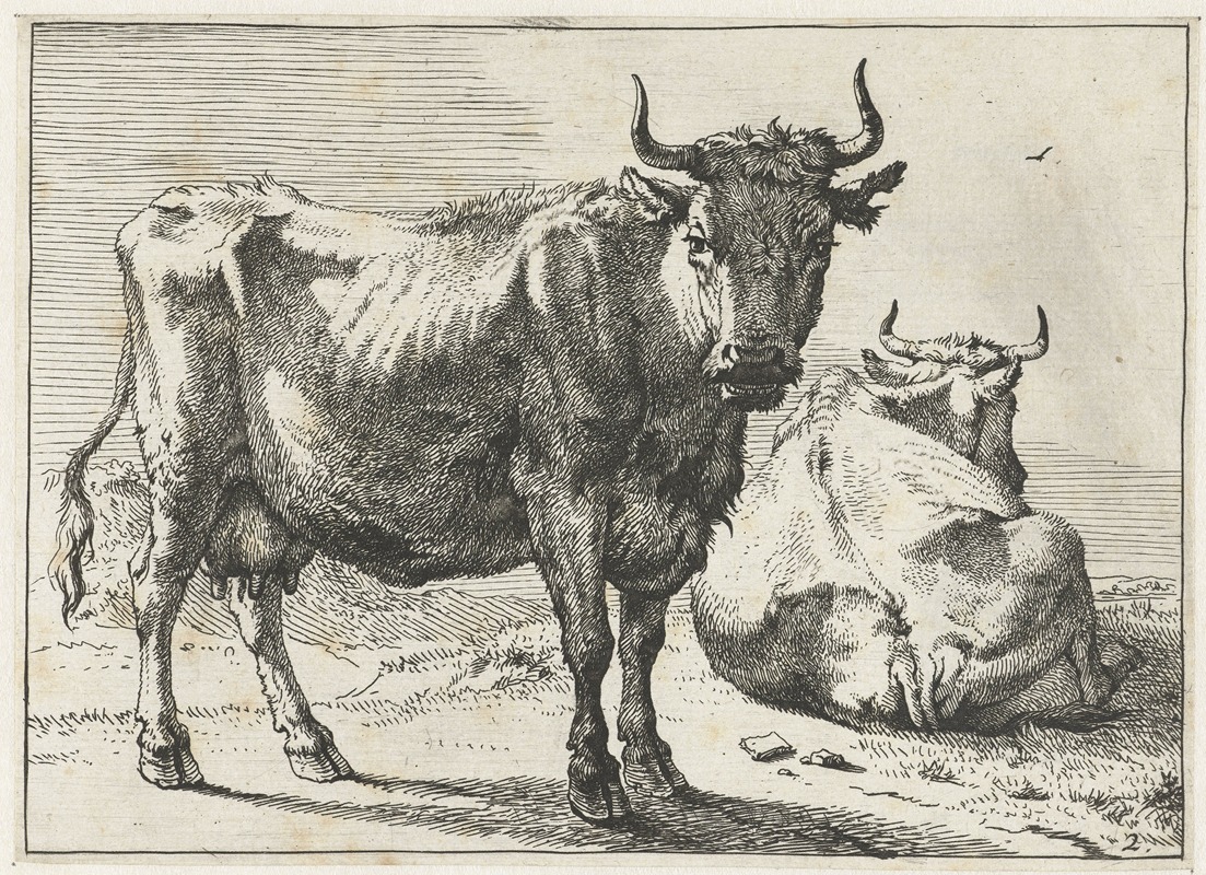 A standing cow and a lying cow by Паулус Поттер, 1650 — digital art print download