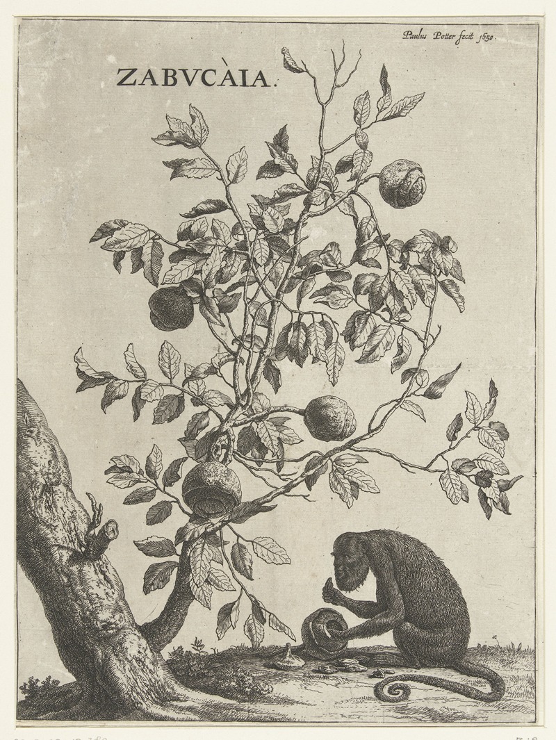 Zabvcàia by Паулус Поттер, 1650 — digital art print download