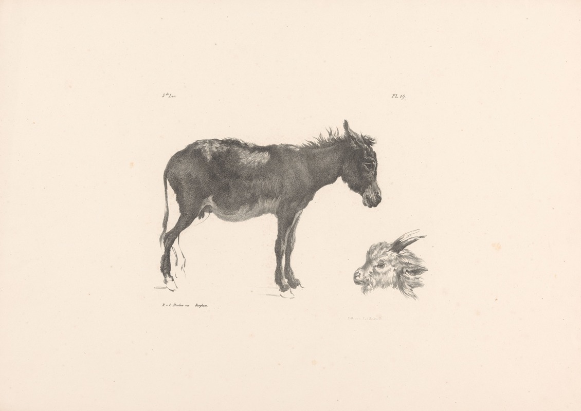 Ezel en ramskop by Роэлоф ван дер Мейлен, 1820-1833 — digital art print download