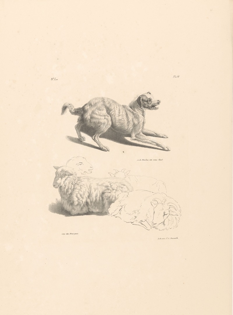 Hond en schapen by Роэлоф ван дер Мейлен, 1820-1833 — digital art print download